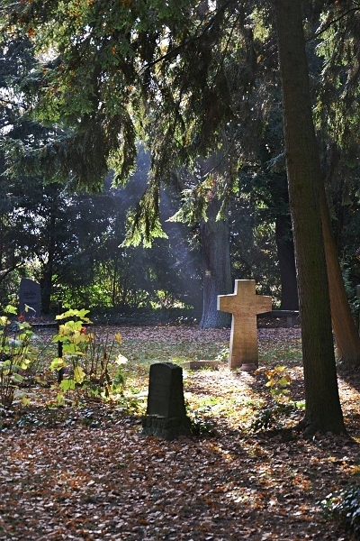 Fabian Fröhlich, Kassel, Hauptfriedhof, Sonnenstrahlen