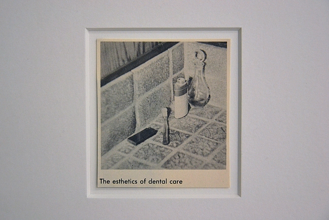 Fabian Fröhlich, Kassel, dOCUMENTA (13), Roman Ondak, Observations