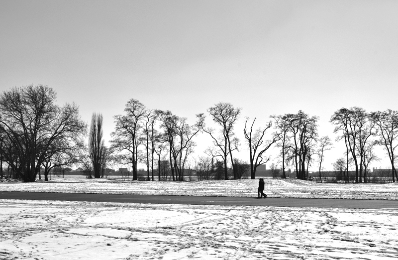 Tempelhofer Park, Winter,