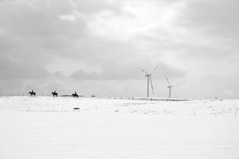 Reichenow, Brandenburg, Winter, Reiter