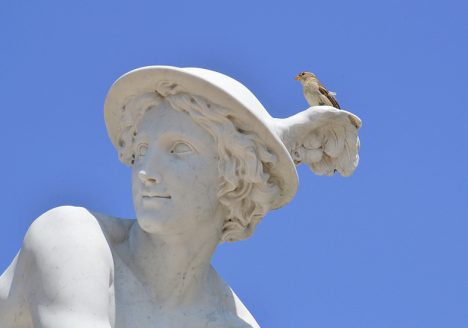 Sanssouci, Merkur von Jean Baptiste Pigalle (Kopie von Wolfgang Wille) am Französischen Rondell