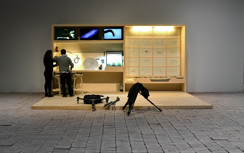 Biennale 2013, Arsenale, Italian Pavilion, Elisabetha Benassi, The Dry savages; Gianfranco Baruchello, Piccolo Sistema