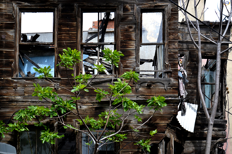 Istanbul, Holzhaus