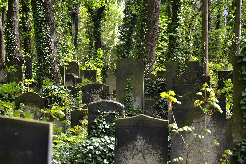 Jüdischer Friedhof Schönhauser Allee, Prenzlauer Berg, Berlin, Gräberfeld