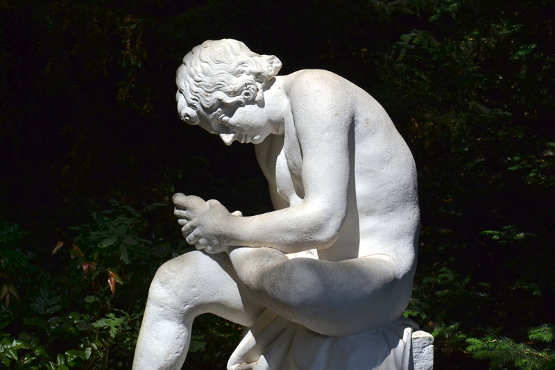 Dornauszieher im Park Wörlitz