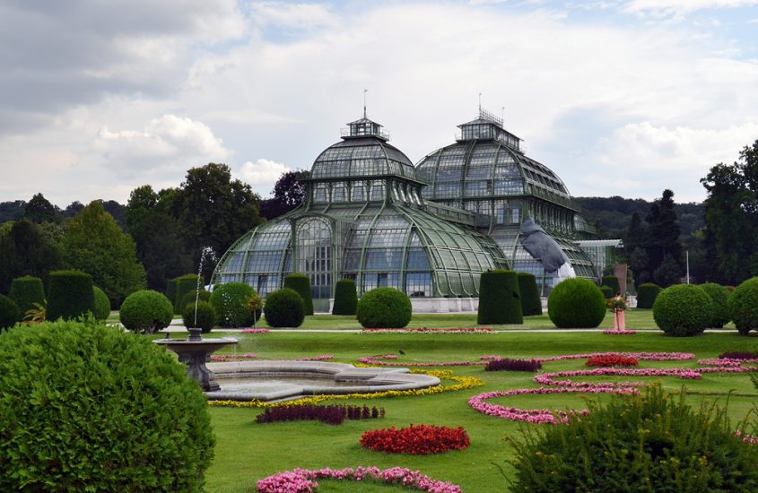 Schloss Schönbrunn, Palmenhaus