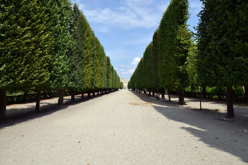 Schloss Schönbrunn, Tiergartenallee