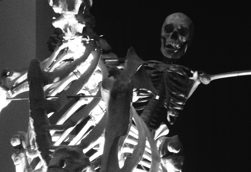 Skelette im Australian Museum Sydney