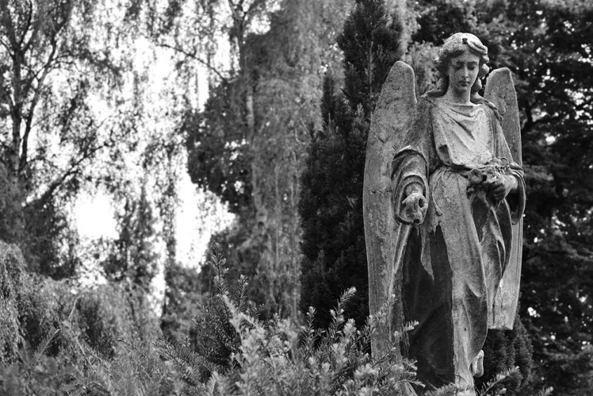 Alter Luisenstädtischer Friedhof, Engel