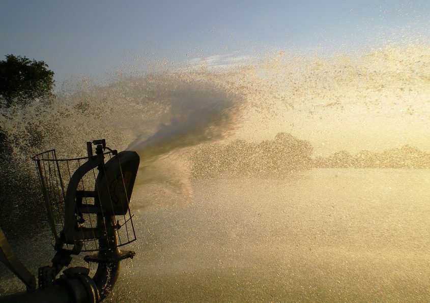 Skulptur Projekte Münster 2007, Tue Greenfort, Aasee