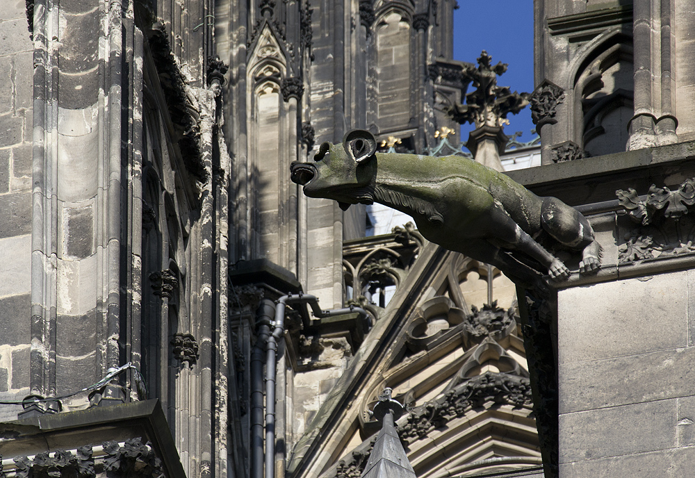 Kölner Dom, Wasserspeier