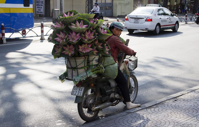 Ho Chi Minh City, District 1, Lotus