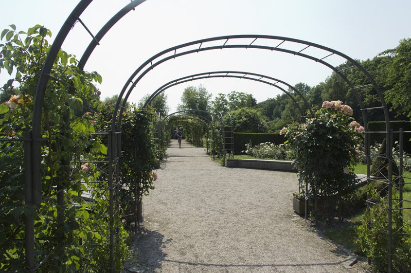 Britzer Garten, Rosengarten