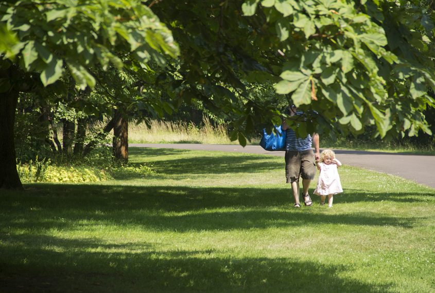 Britzer Garten, Kastanien