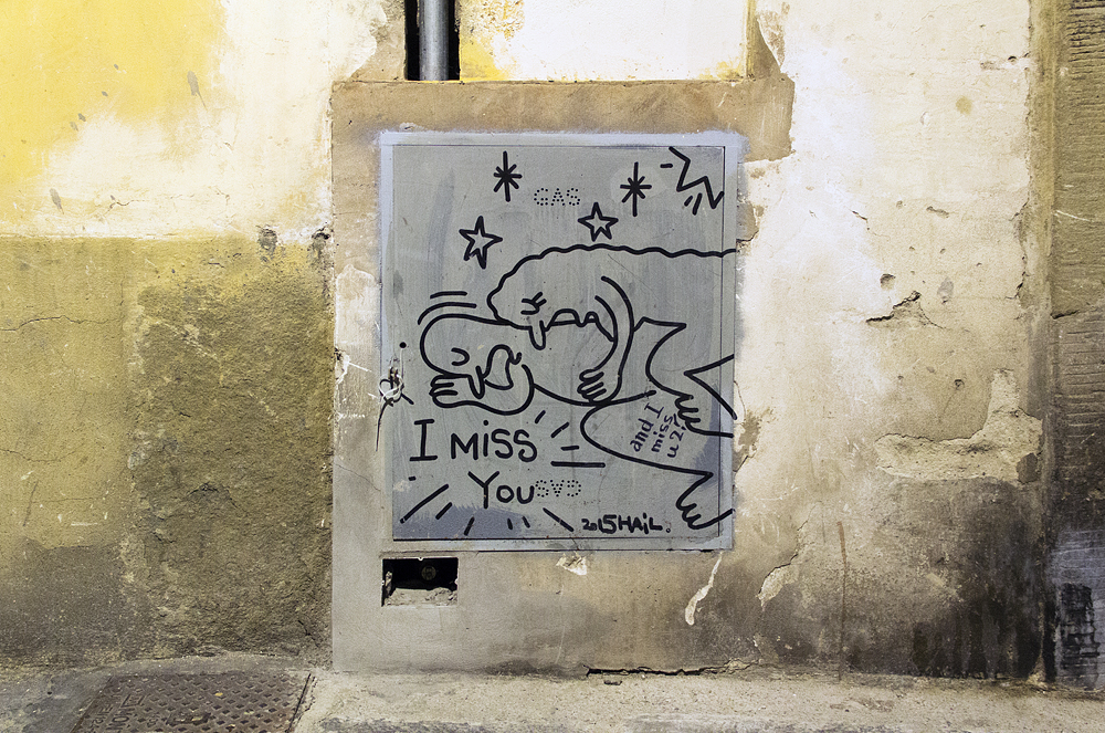 Street Art, Firenze, Via Taddea, Hail