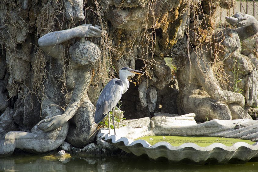 Giardino di Boboli, Neptunbrunnen, Reiher