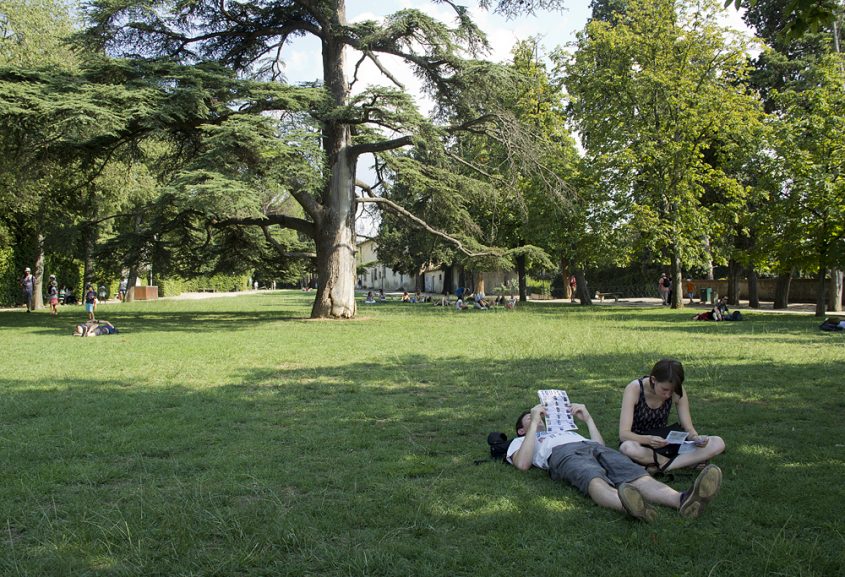 Firenze, Giardino di Boboli, Cheastnut Meadow