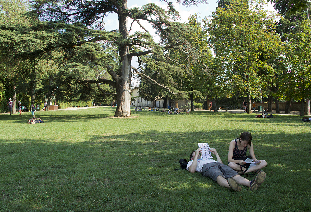 Firenze, Giardino di Boboli, Cheastnut Meadow