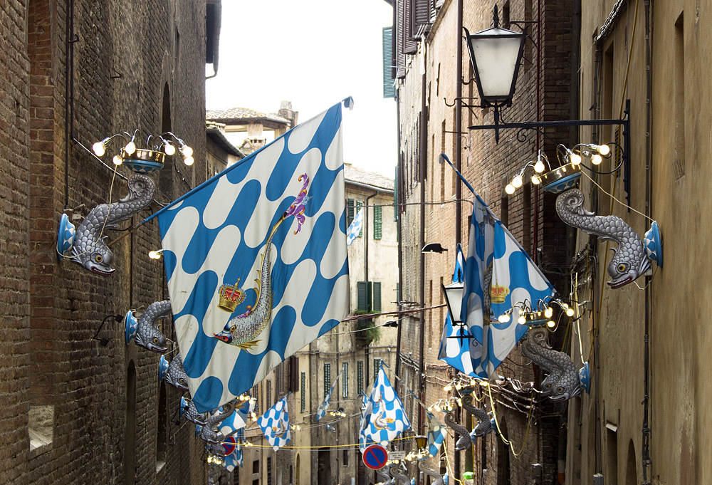 Siena, Palio, Capitana Contrada dell'Onda