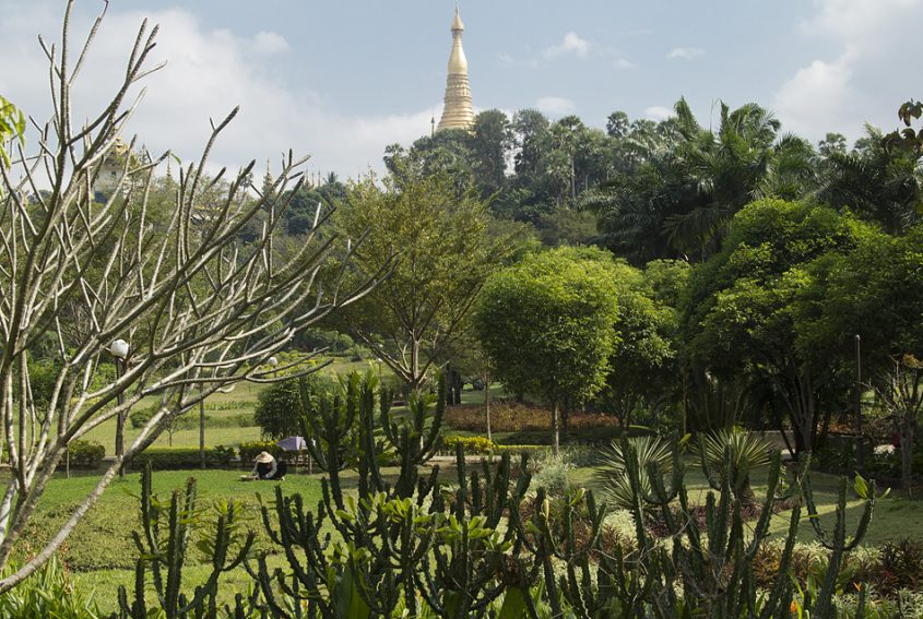 Yangon, Theingottara Park