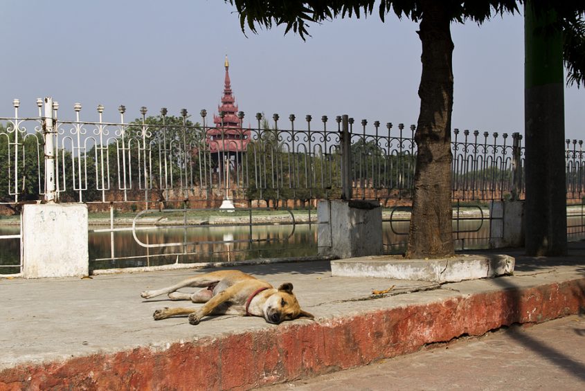 Mandalay, Myanansankyaw Golden Palace