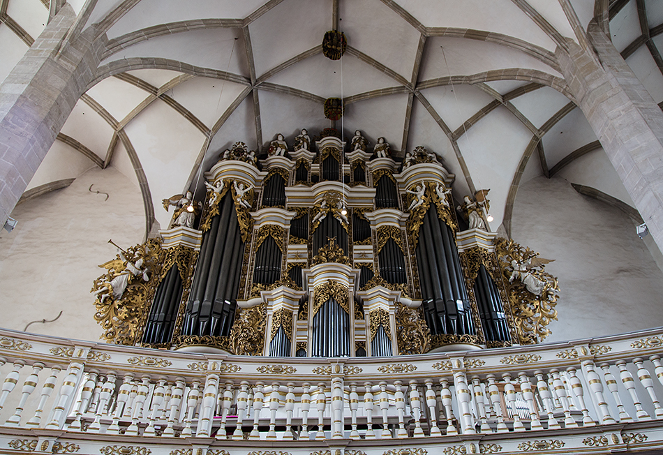 Merseburger Dom, Orgel