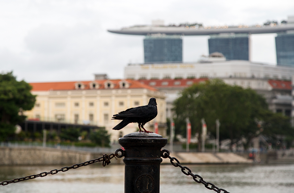 Fabian Fröhlich, Singapore, Singapore River Promenade