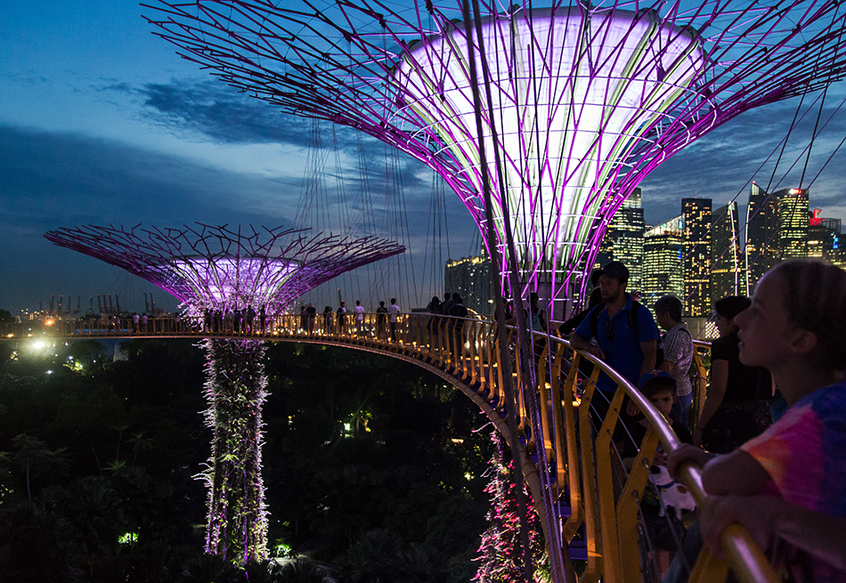 Fabian Fröhlich, Singapore, Gardens by the Bay, Supertrees at night