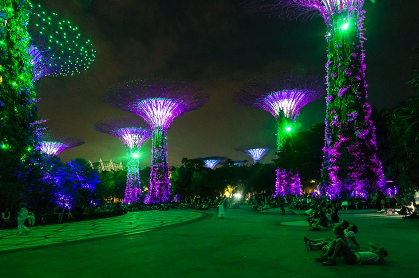 Fabian Fröhlich, Singapore, Gardens by the Bay, Supertree Grove at Night