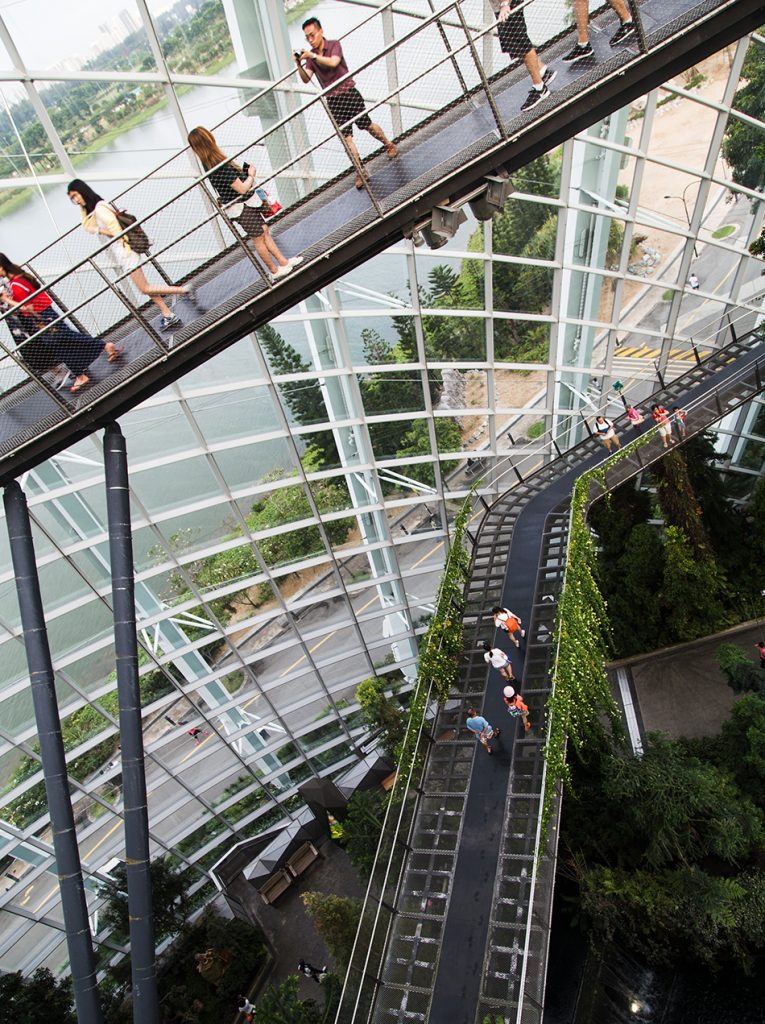 Fabian Fröhlich, Singapore, Gardens by the Bay, Skywalk, Cloud Forest