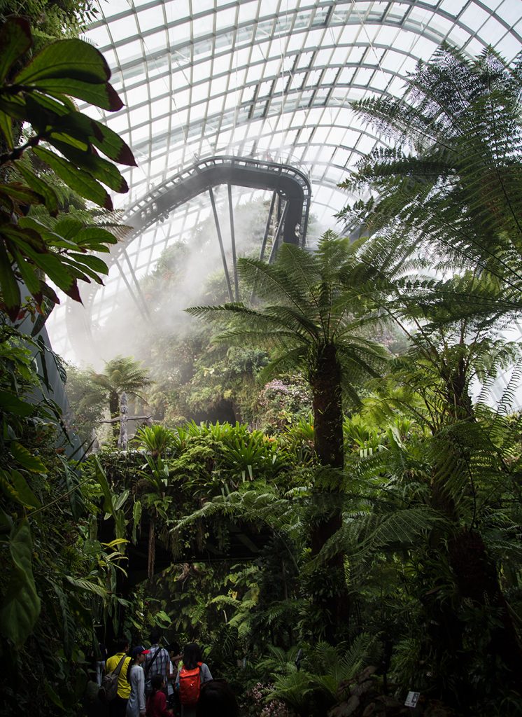 Fabian Fröhlich, Singapore, Gardens by the Bay, Cloud Forest