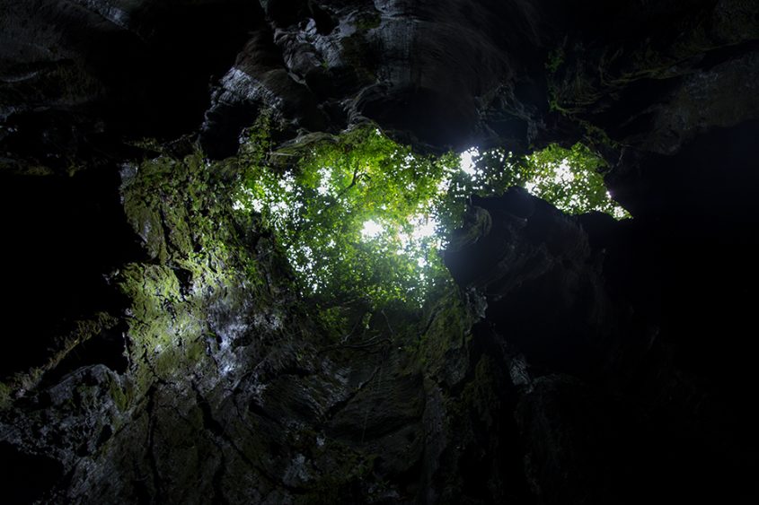 Fabian Fröhlich, Bukit Lawang, Sumatra, Bat Cave