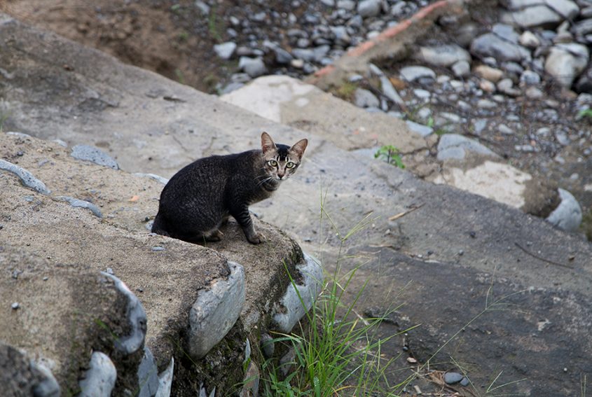 Fabian Fröhlich, Bukit Lawang, Sumatra,