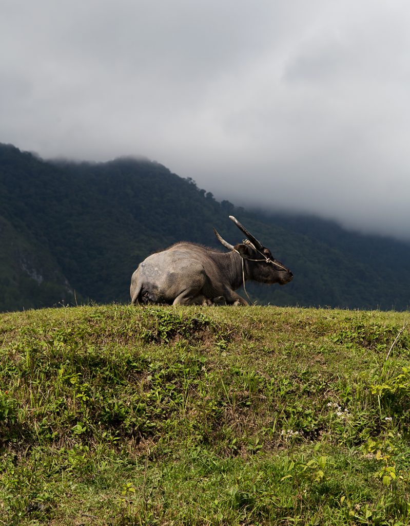 Fabian Fröhlich, Lake Toba, Samosir, Bukit Beta