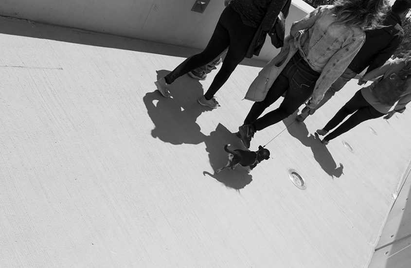 Athen, Stavros Niarchos Foundation Cultural Center von Renzo Piano