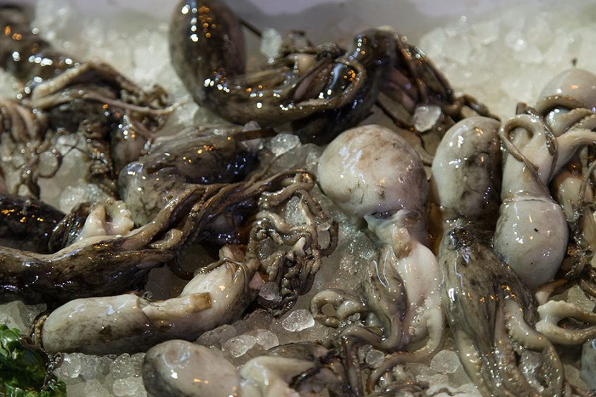 Neapel / Napoli, Pulpo