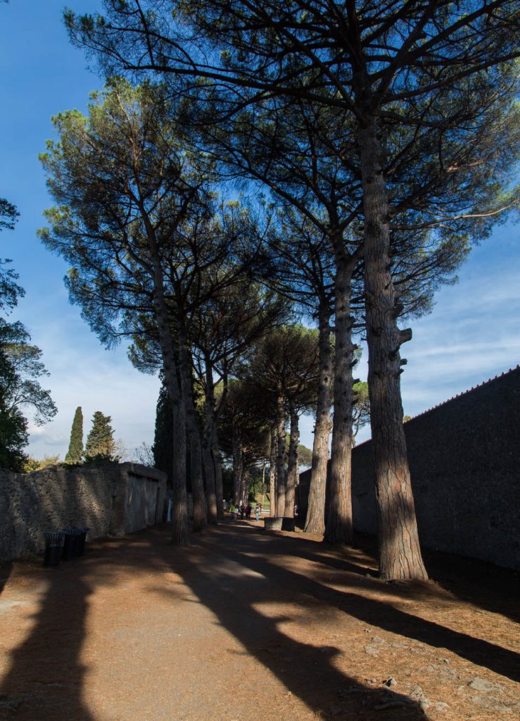 Pompei, Via di Castricio