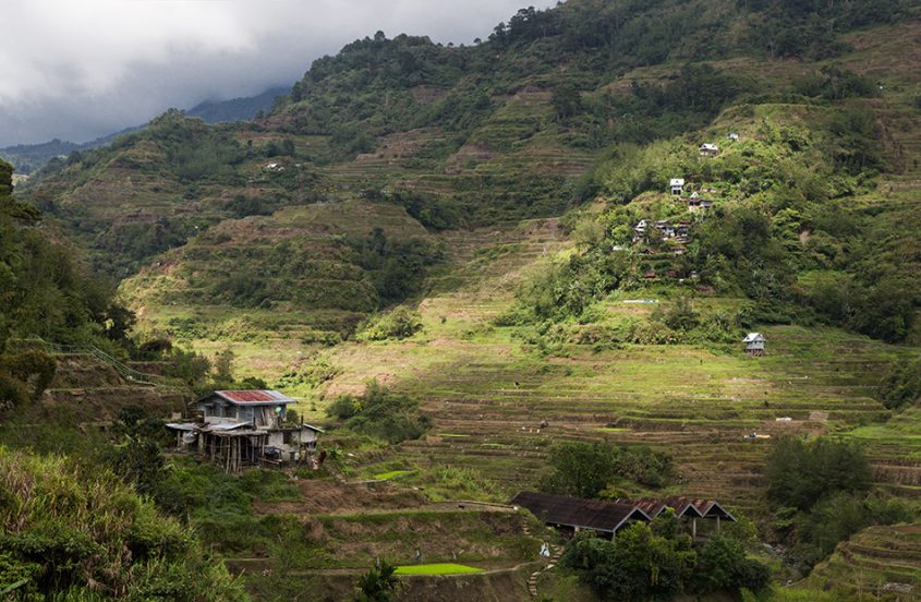 Fabian Fröhlich, Philippinen, Ifugao, Reisterrassen von Banaue