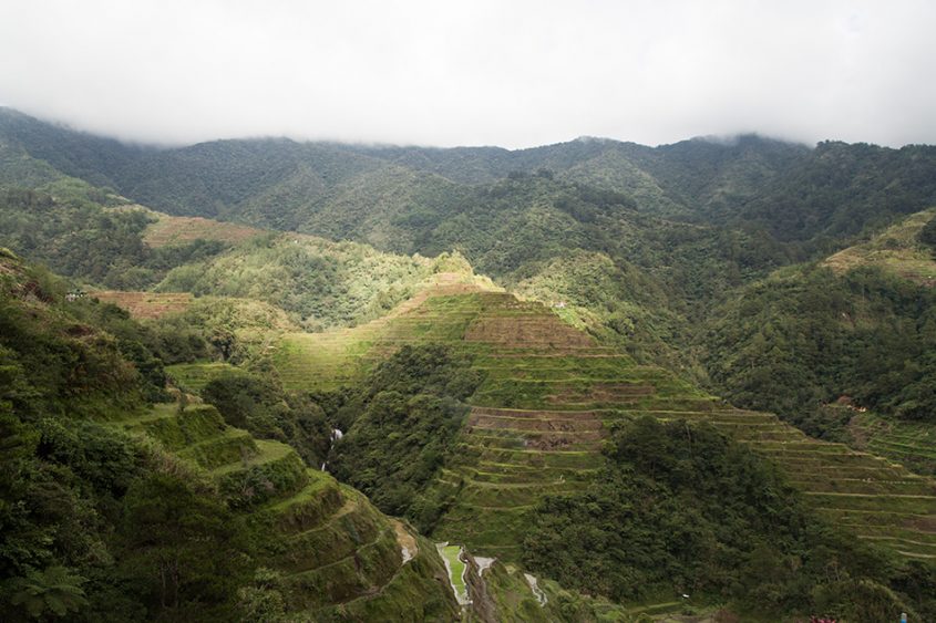 Fabian Fröhlich, Philippinen, Ifugao, Reisterrassen von Banaue