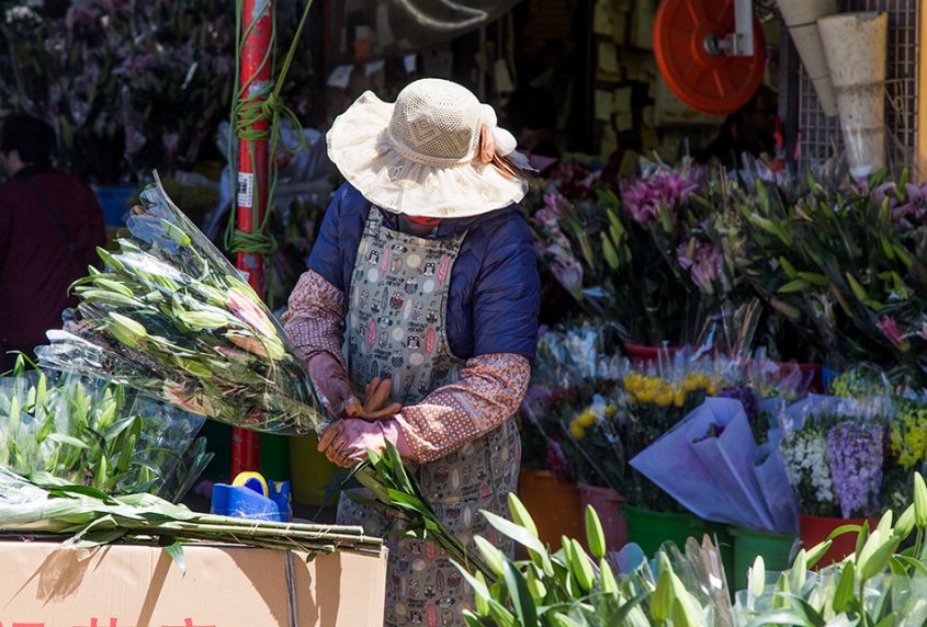 Fabian Fröhlich, Hongkong, Kowloon, Flower Market