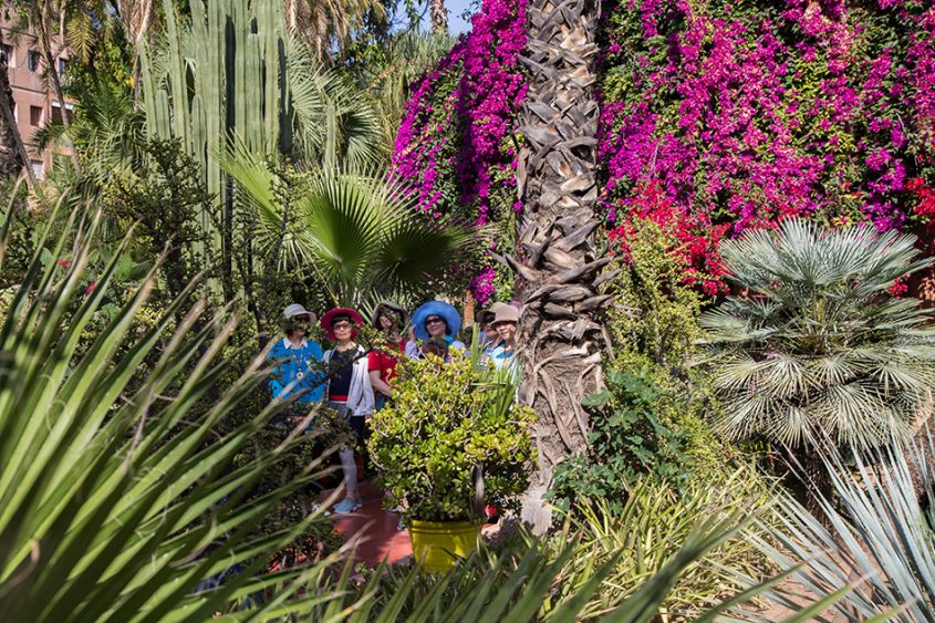 Fabian Fröhlich, Jardin Majorelle Marrakech