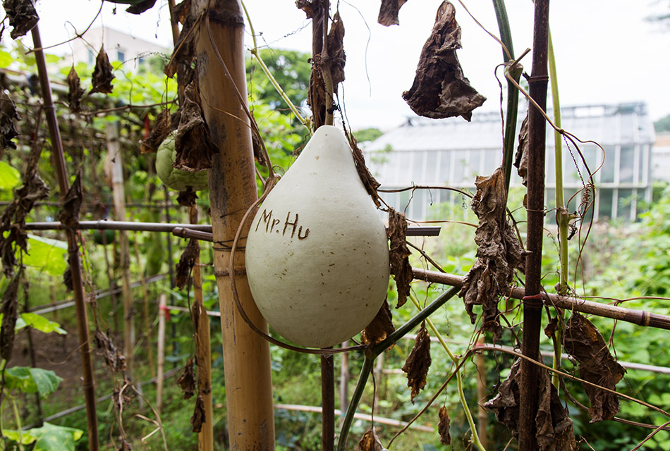 Fabian Fröhlich, Palermo, Manifesta 12, Orto botanico (Leone Contini, Foreign Farmers)