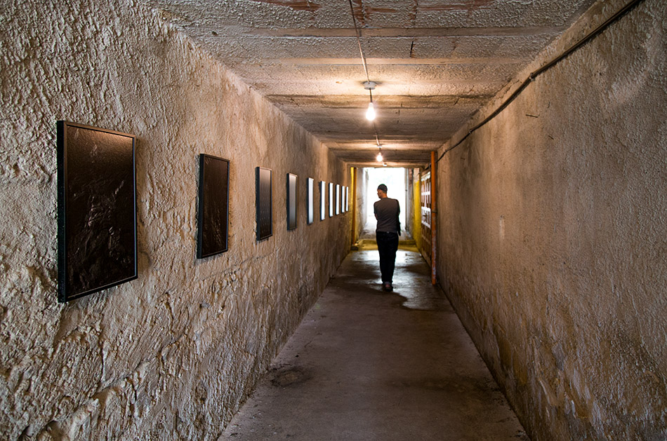 Fabian Fröhlich, Palermo, Manifesta 12, Orto botanico (Michael Wang, The Drowned World)