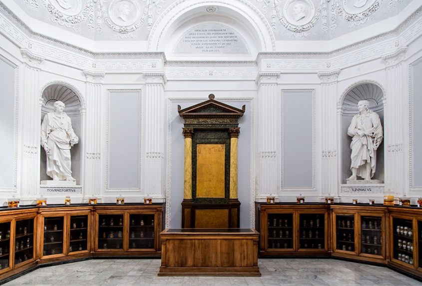 Fabian Fröhlich, Palermo, Manifesta 12, Orto botanico (Gymnasium)