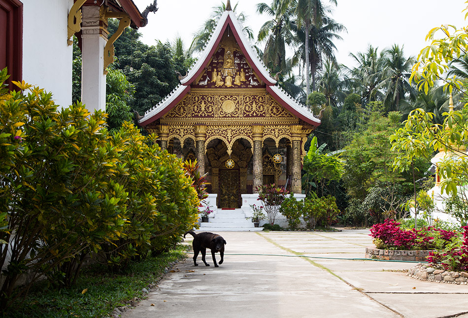 Fabian Fröhlich, Luang Prabang, War Pa Phai