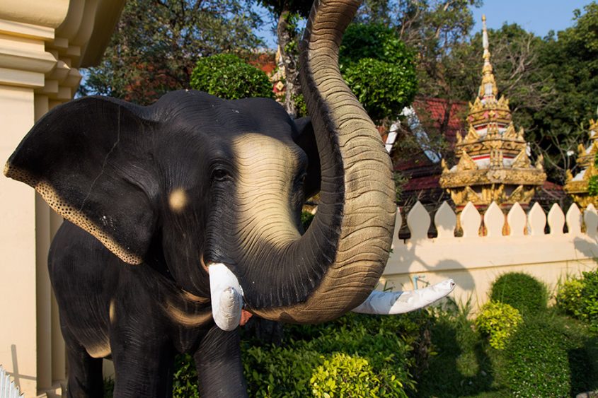 Fabian Fröhlich, Vientiane, Wat Chan