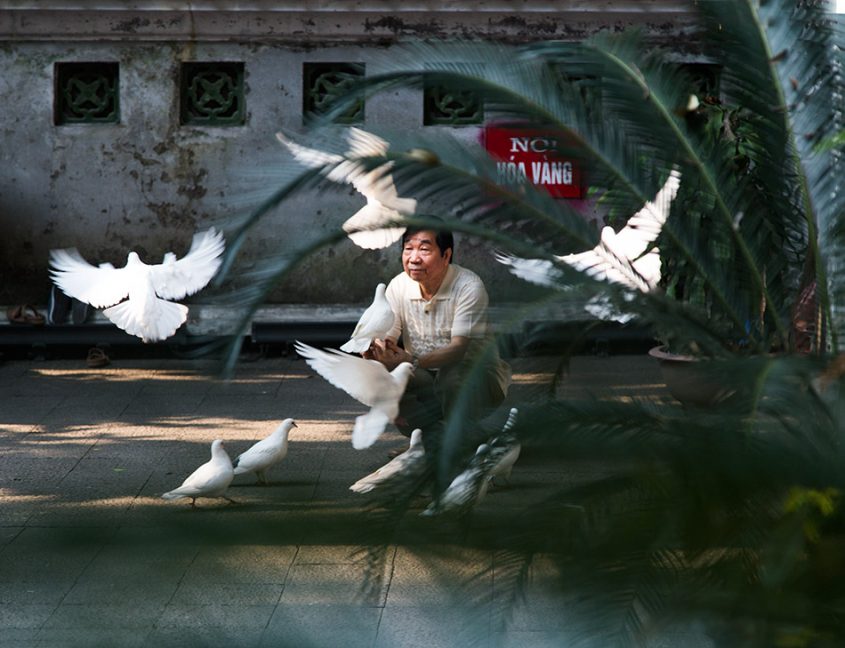 Hanoi, Old Quarter, Doves, Tượng Đài Vua Lê Thái Tổ (King Lê Thái Tổ Monument)