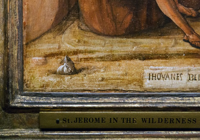 Fabian Fröhlich, Berlin, Gemäldegalerie, Mantegna Bellini, Grumpy Rabbit