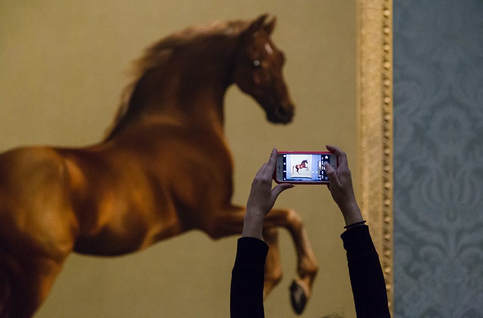 Fabian Fröhlich, National Gallery, London, George Stubbs, Whistlejacket