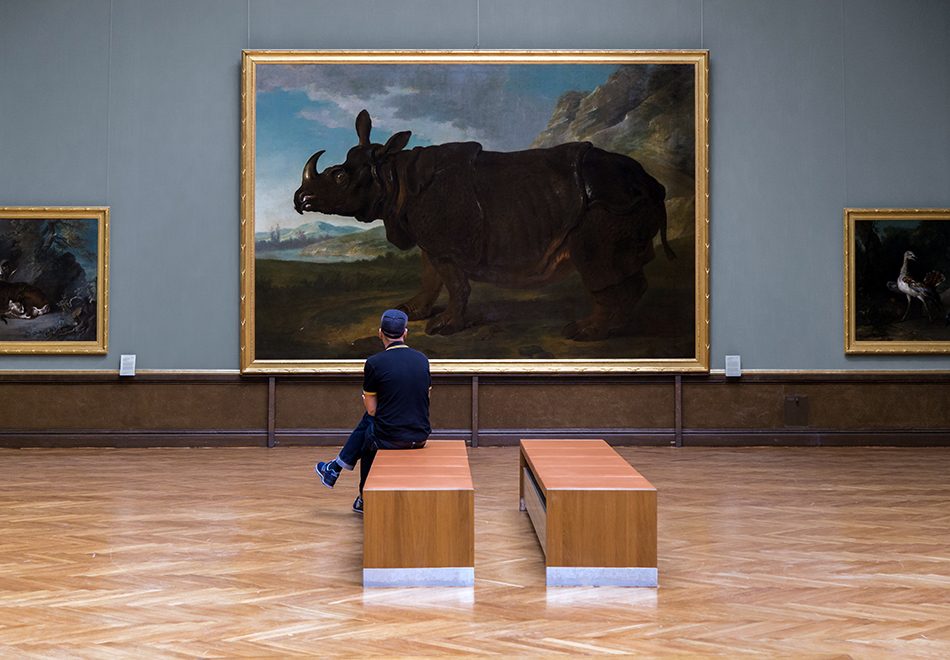 Fabian Fröhlich, Staatliches Museum Schwerin, Jean-Baptiste Oudry, Rhinoceros Clara